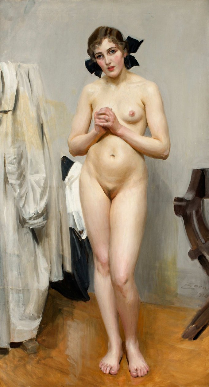 Čtrnáct let si určitě myslím, že jsem byl od Anders Leonard Zorn