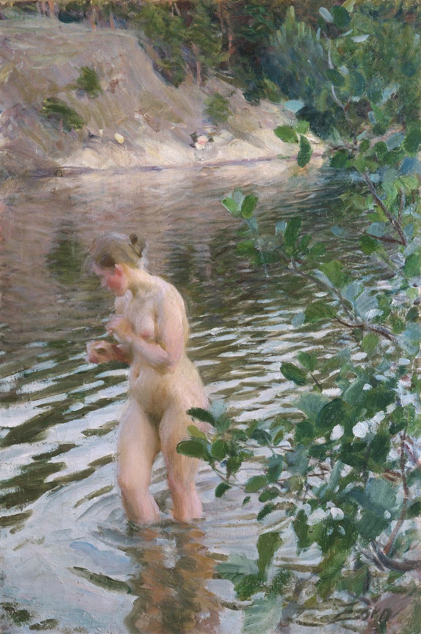 Chladně od Anders Leonard Zorn