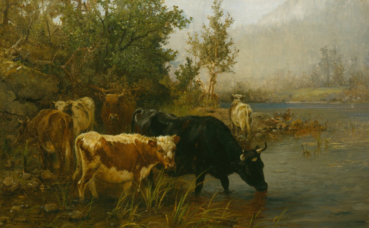 Krávy u vody od Anders Askevold
