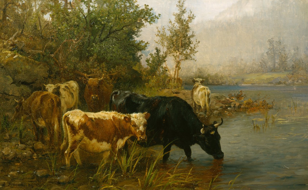 Krávy u vody od Anders Askevold