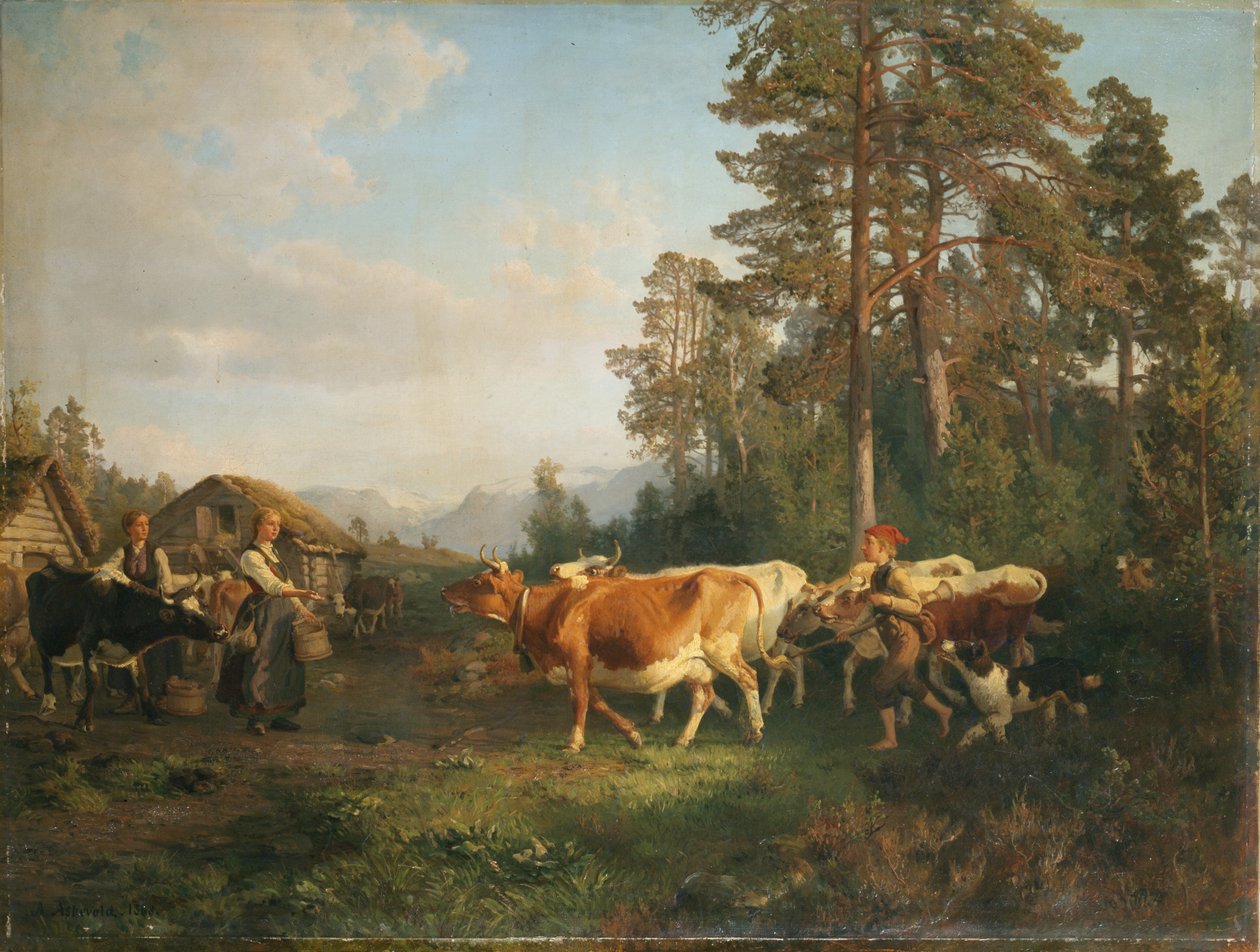Krajina s kravami od Anders Askevold