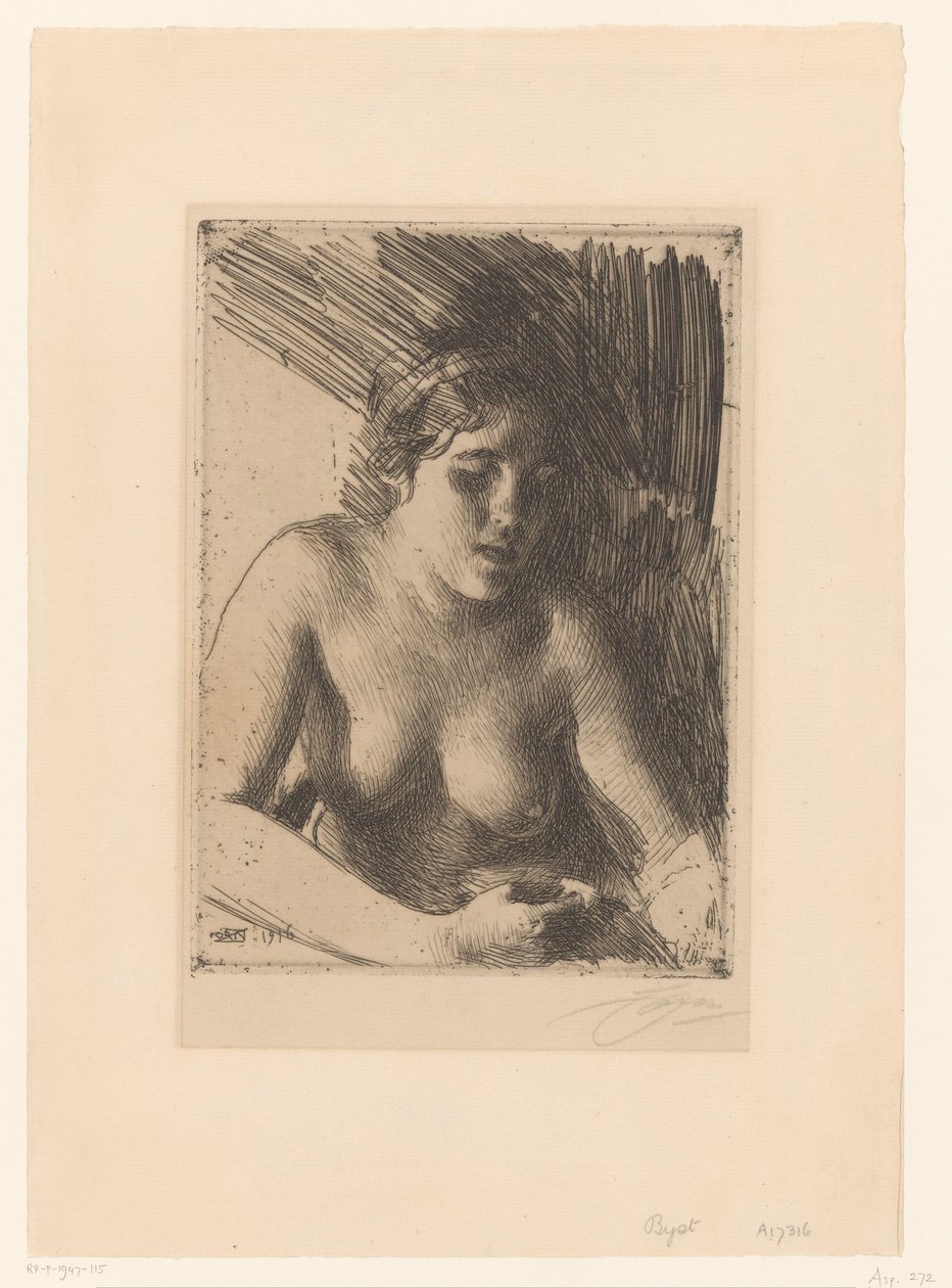 Obálky od Anders Leonard Zorn (signed by artist)
