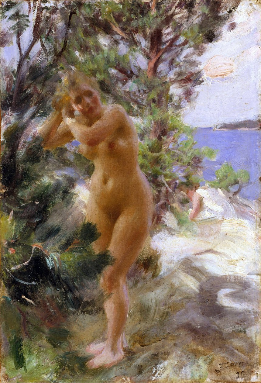 Apres le bain - Po koupeli - Zorn, Anders Leonard (1860-1920) - 1895 - Olej na plátně - 53,5x36,5 - Nationalmuseum Stockholm od Anders Leonard Zorn