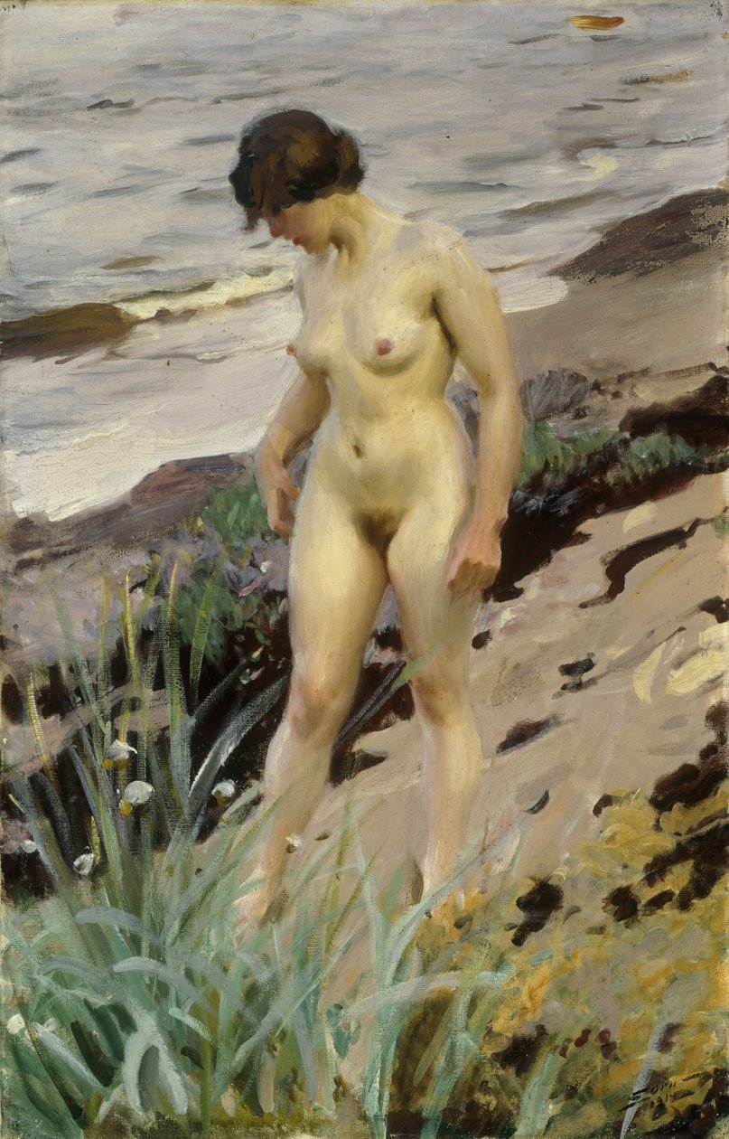 Sandhamnská studie, 1914 od Anders Leonard Zorn