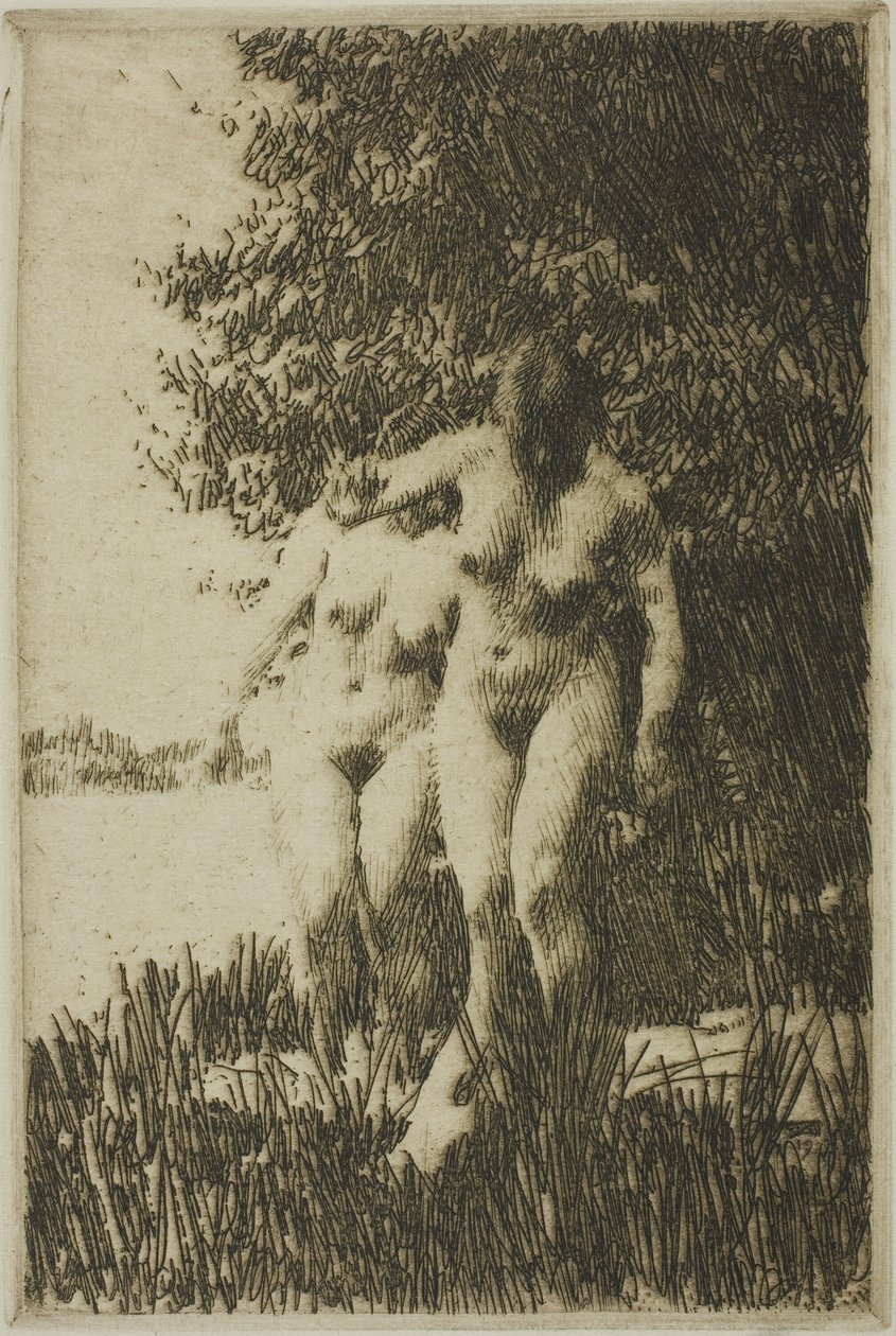 Olše od Anders Leonard Zorn