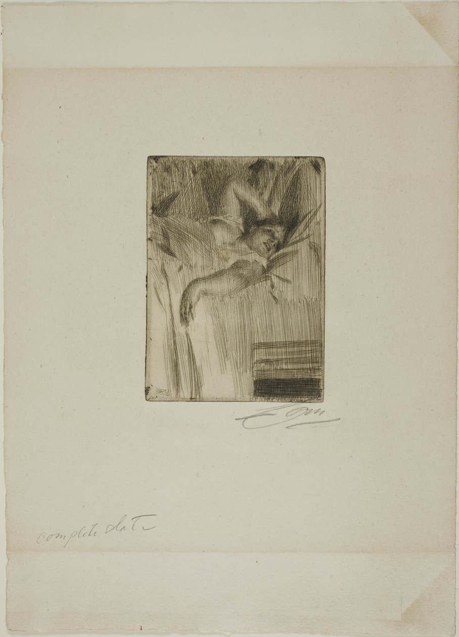 Alarm od Anders Leonard Zorn