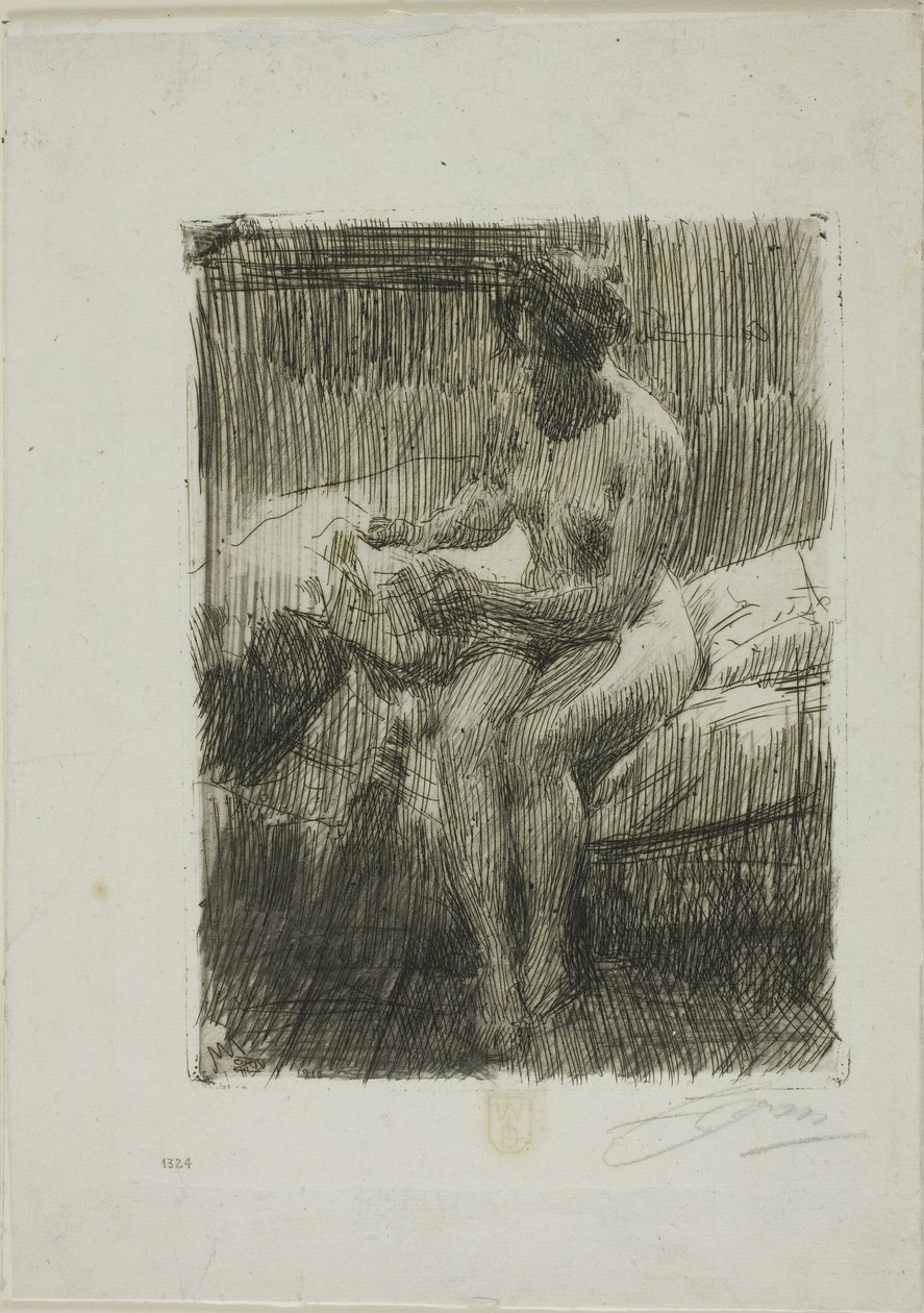 Modelové čtení od Anders Leonard Zorn