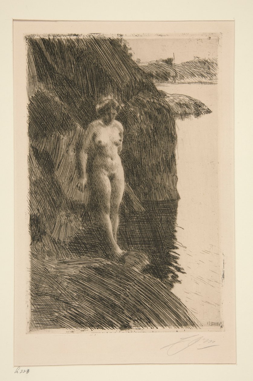 Zvláště od Anders Leonard Zorn