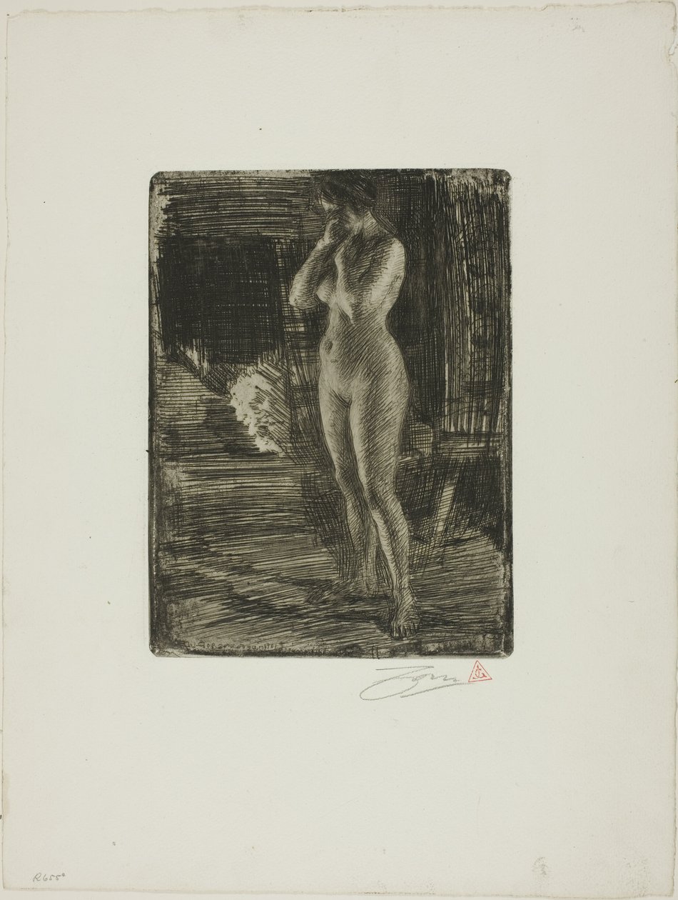 První póza od Anders Leonard Zorn
