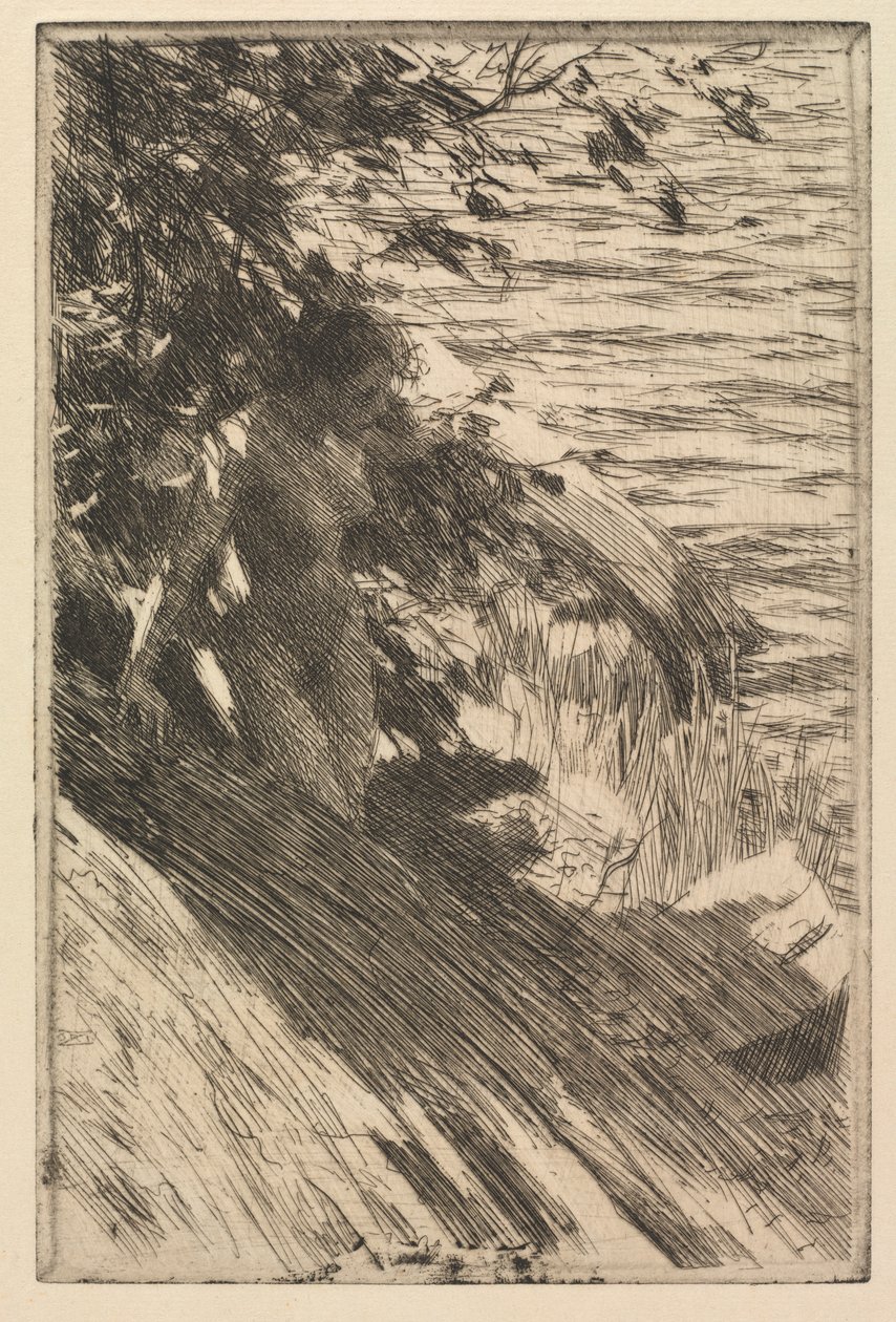 Velký lazebník od Anders Leonard Zorn