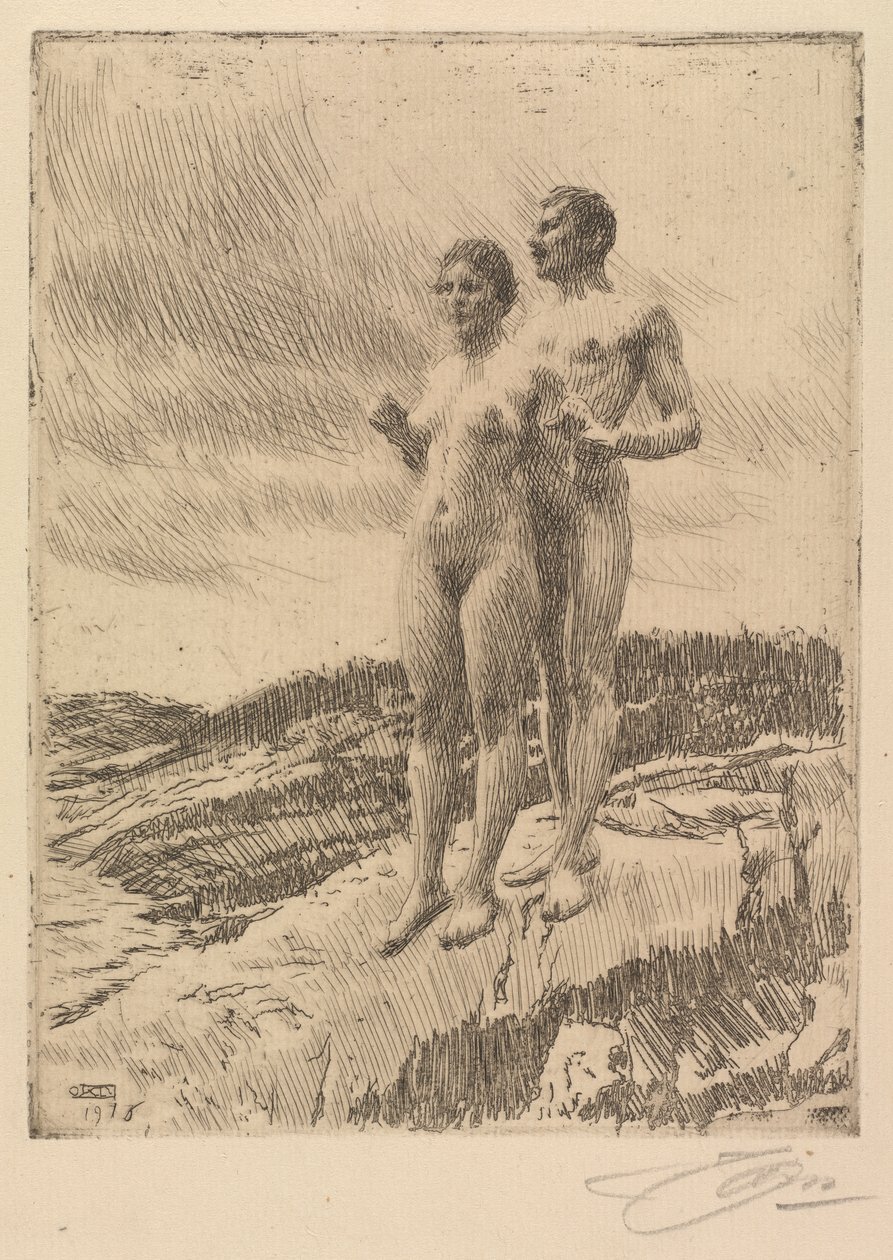 Dva od Anders Leonard Zorn