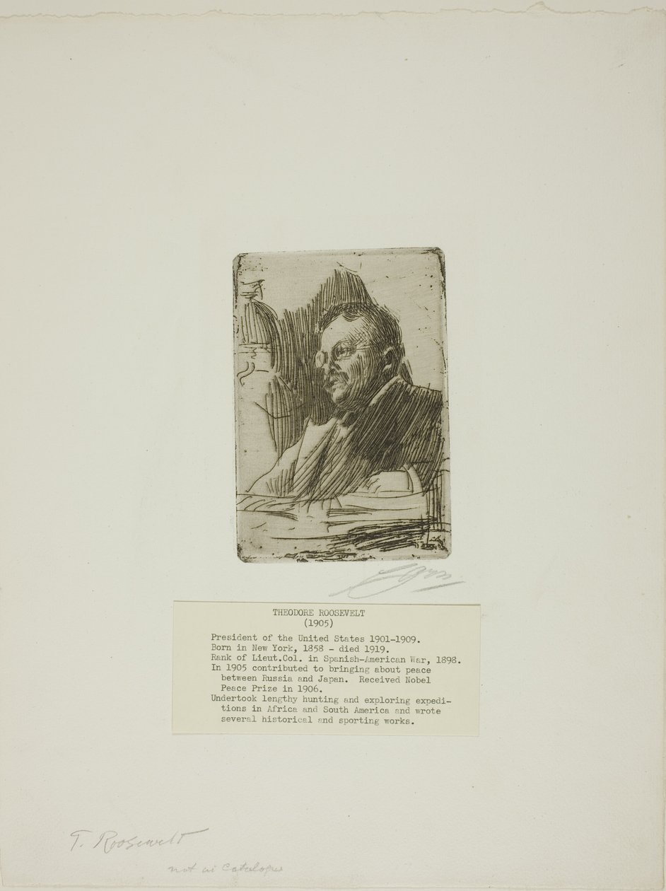 Theodore Roosevelt od Anders Leonard Zorn