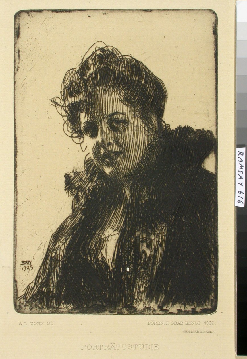 Bez názvu od Anders Zorn