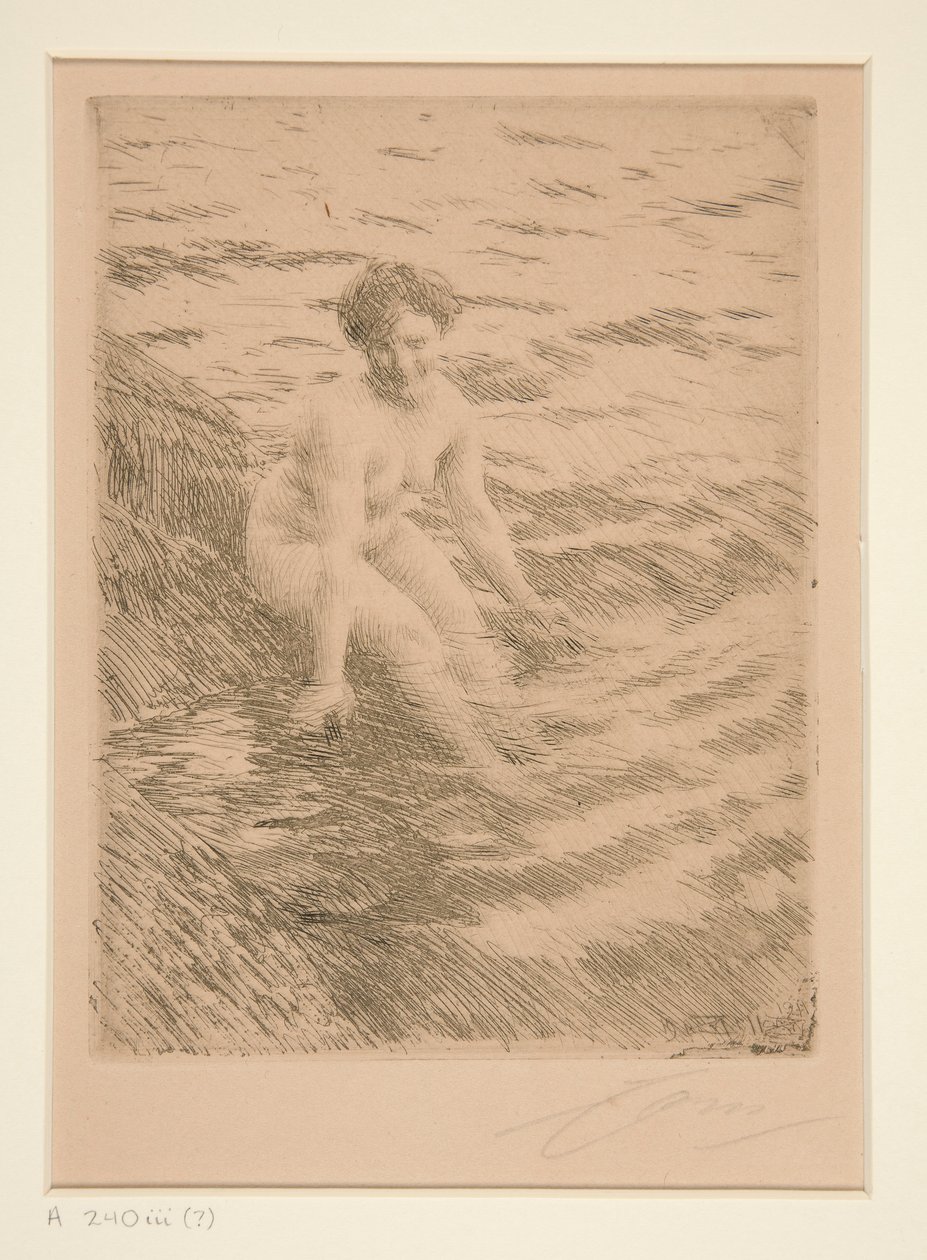 Mokrý od Anders Leonard Zorn
