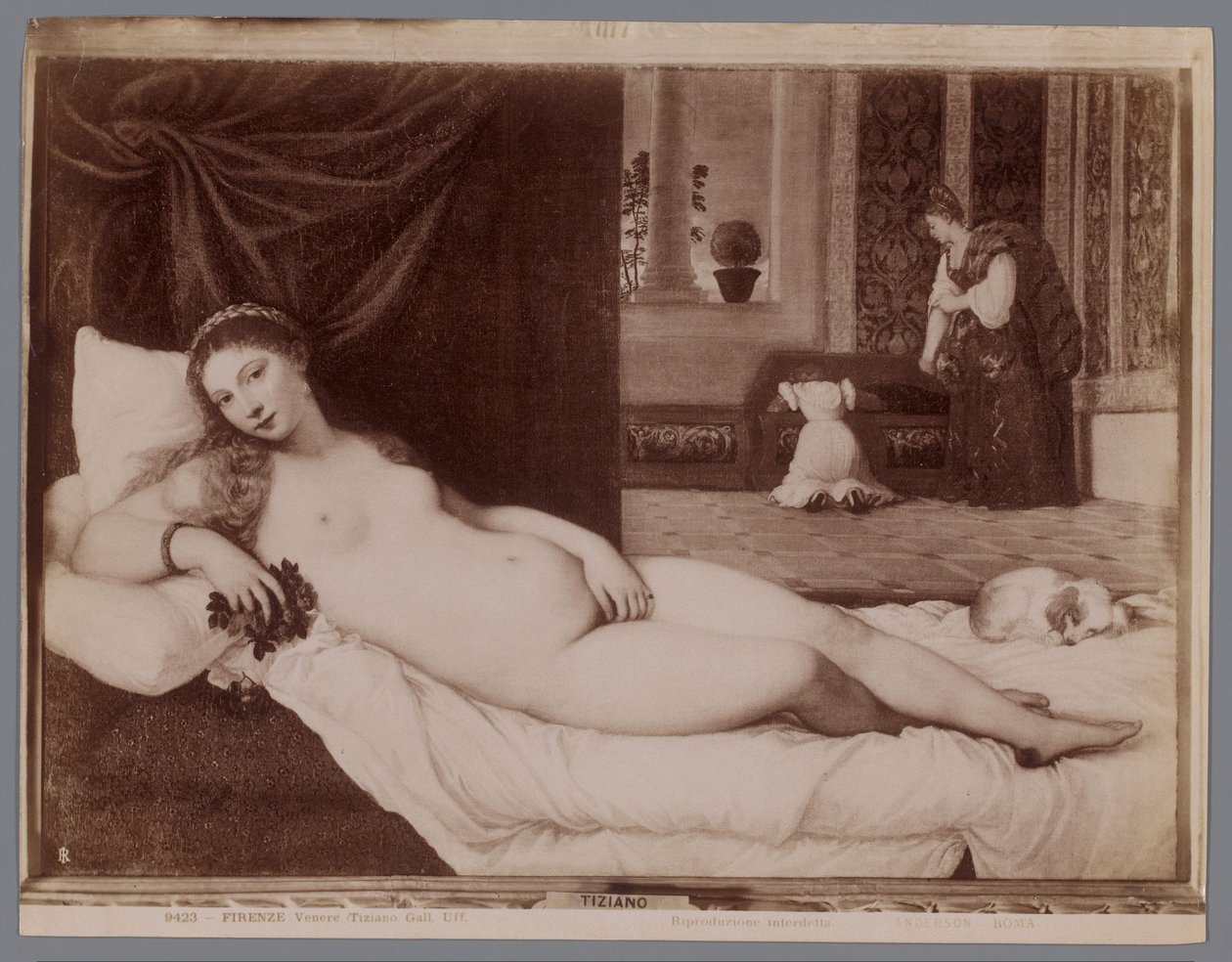 Fotoreprodukce Tizianova obrazu Venuše z Urbina Firenze, Venere (Tiziano Gall. Uff.) (název na objektu) od Anderson (firma)