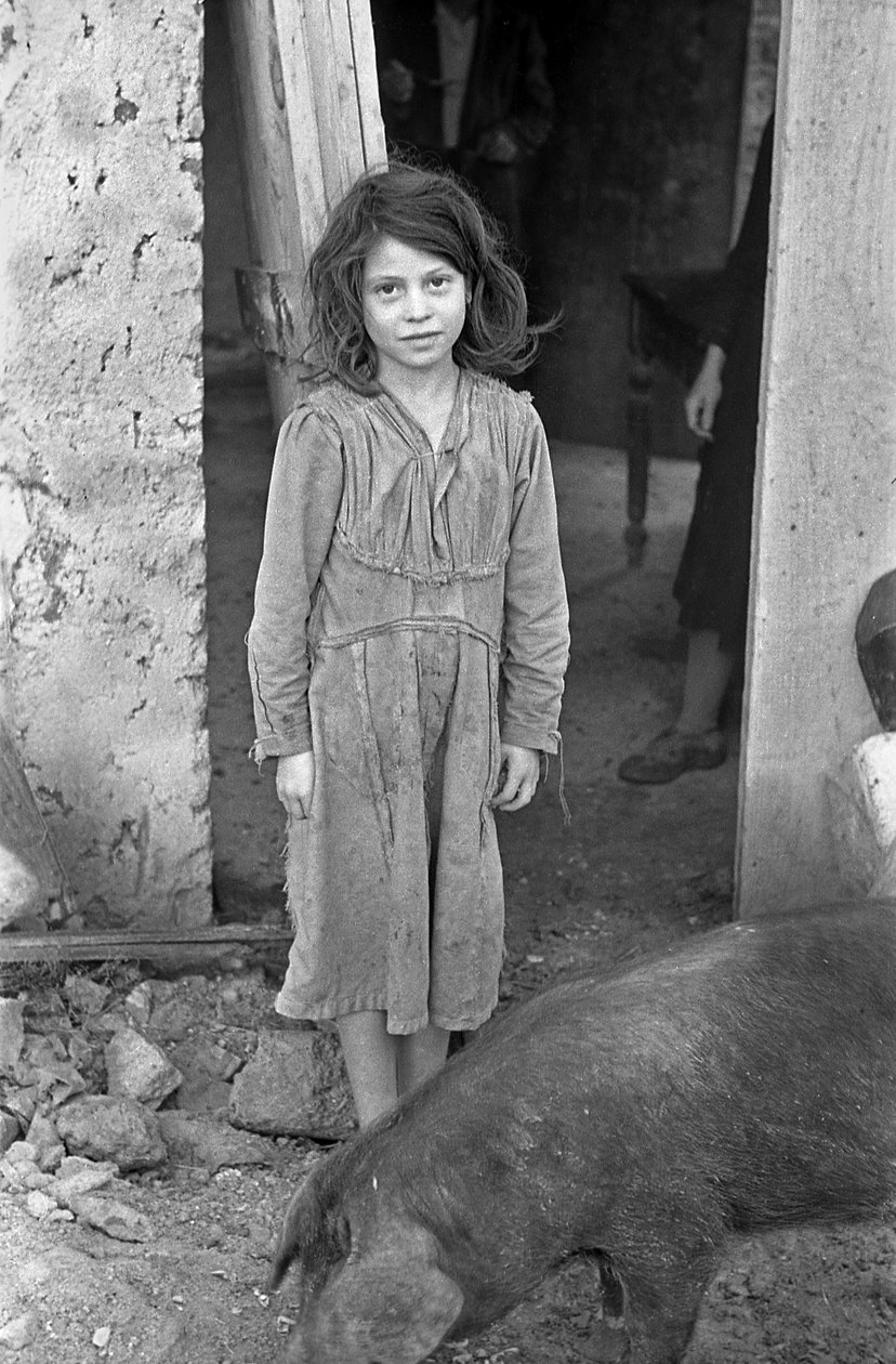 CROTONE COUNTRYSIDE - DÍVKA A PRASE od Ando Gilardi