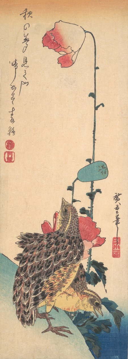 Pár křepelek a máku, ca. 1835, ca. 1835. od Ando Hiroshige