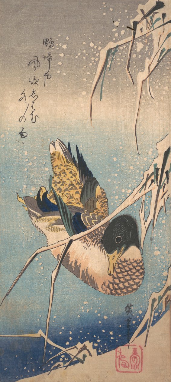 Divoká kachna poblíž zasněženého pobřeží, ca. 1843, ca. 1843. od Ando Hiroshige