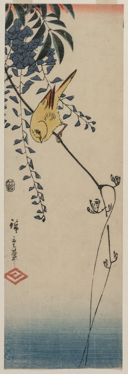 Kanárské ostrovy a Wisteria, polovina 40. let 19. století. od Ando Hiroshige