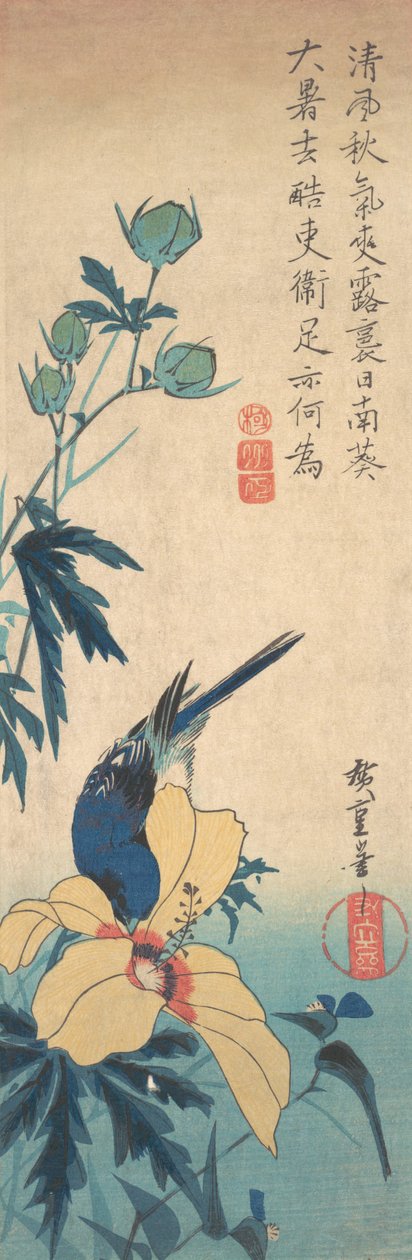 Hibiscus a Bluebird, ca. 1832, ca. 1832. od Ando Hiroshige