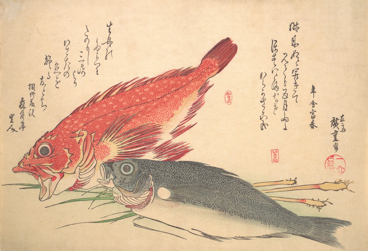 Isaki a Kasago Fish, ze série Uozukushi Every Variety of Fish, 30. léta 19. století, 30. léta 19. století. od Ando Hiroshige