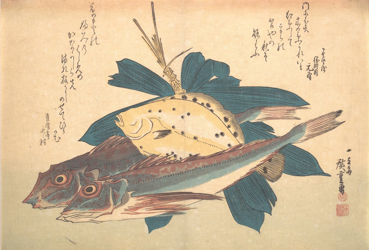 Kanagashira a Karei Fish, ze série Uozukushi Every Variety of Fish, 30. léta 19. století, 30. léta 19. století. od Ando Hiroshige
