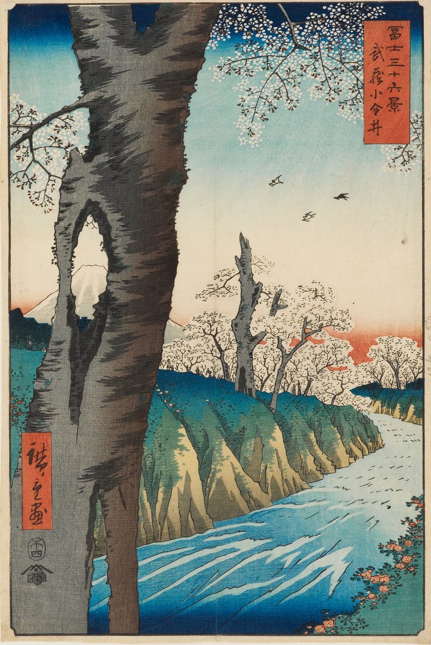 Koganei v provincii Musashi, navržený 1858, publikován 1858-1859 od Ando Hiroshige