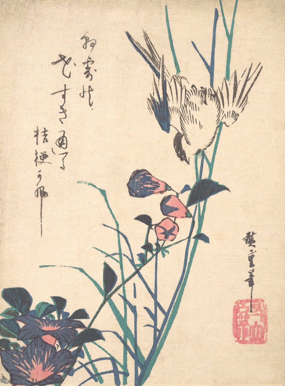 Plocháč velkokvětý a vrabec, ca. 1833, ca. 1833. od Ando Hiroshige