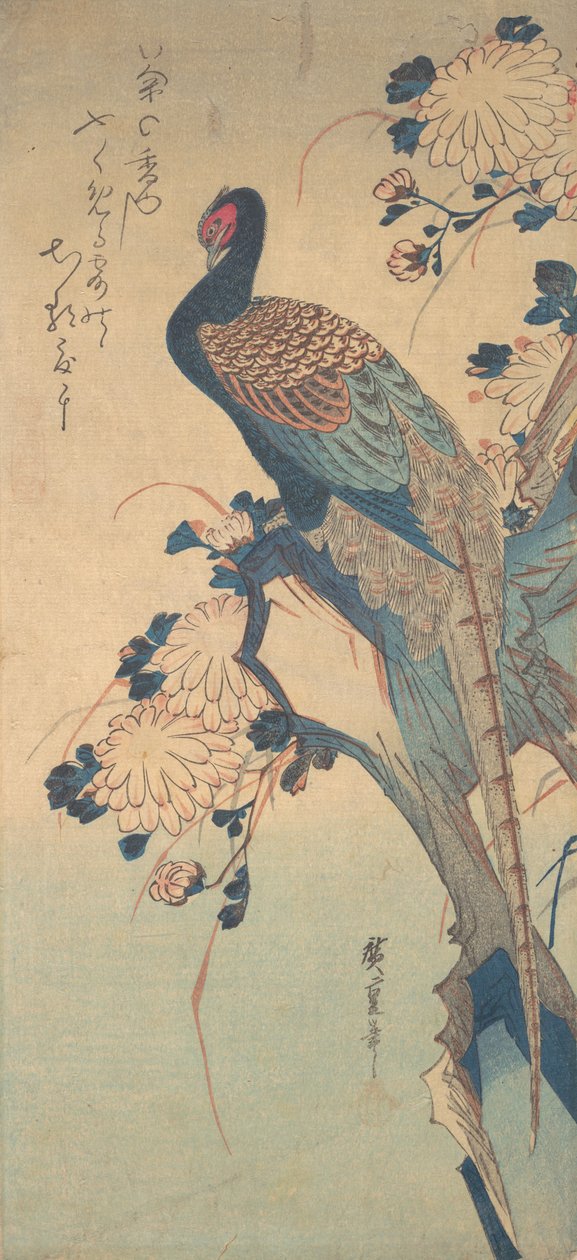 Bažant s chryzantémami, ca. 1835, ca. 1835. od Ando Hiroshige