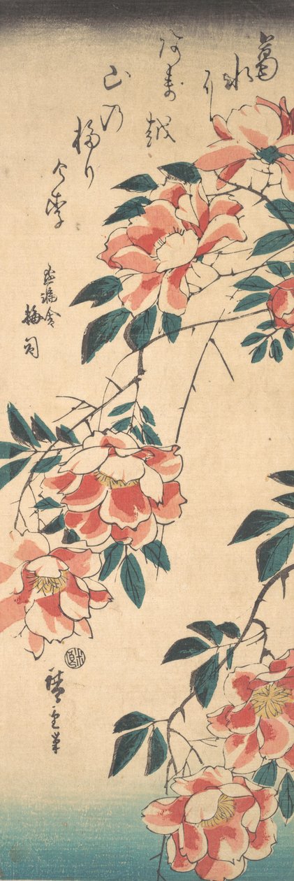 Růže, ca. 1843, ca. 1843. od Ando Hiroshige