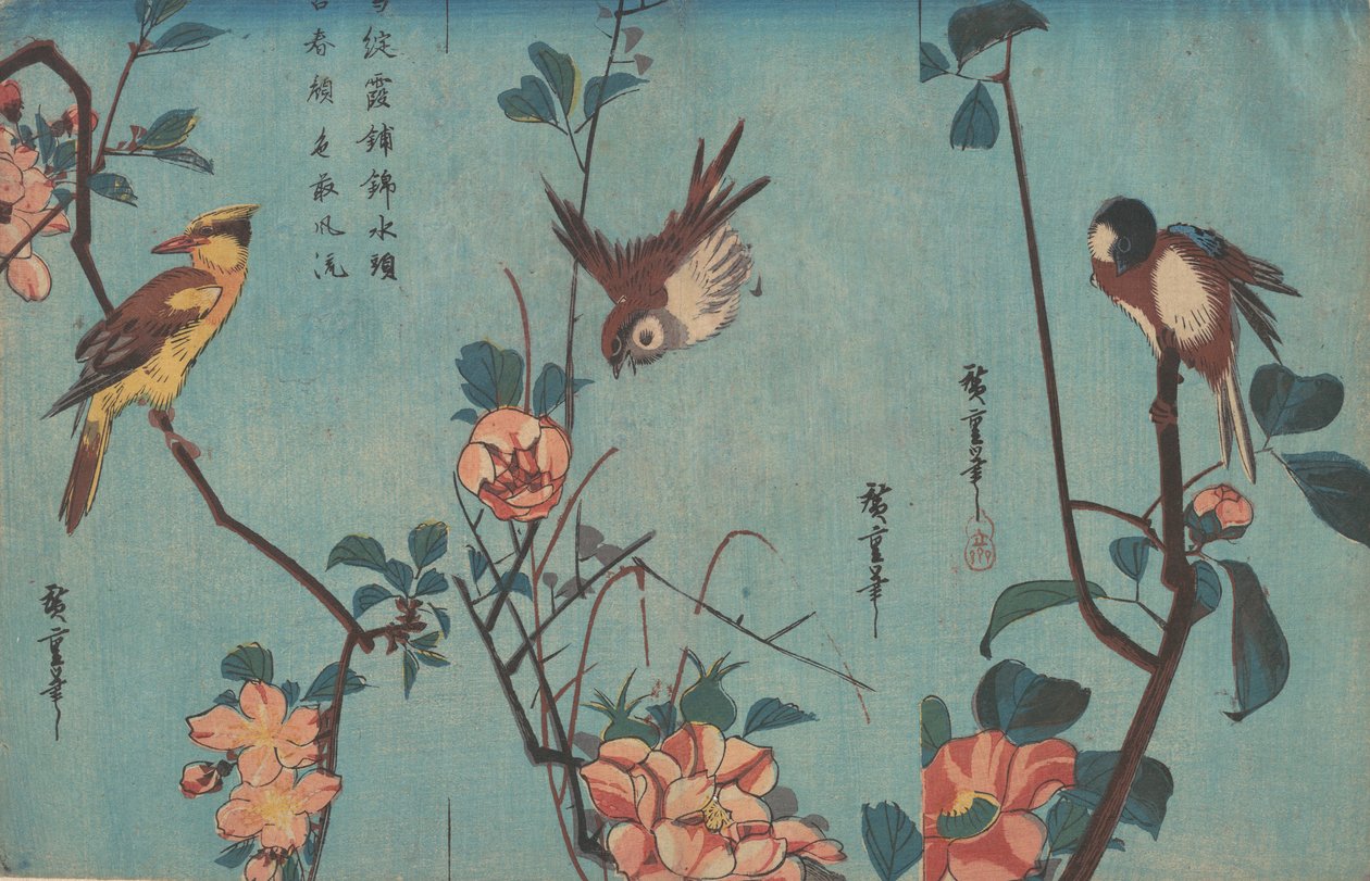 Sýkora koňadra a kamélie vpravo, vrabec a divoké růže uprostřed a černonohý..., asi 1833. od Ando Hiroshige