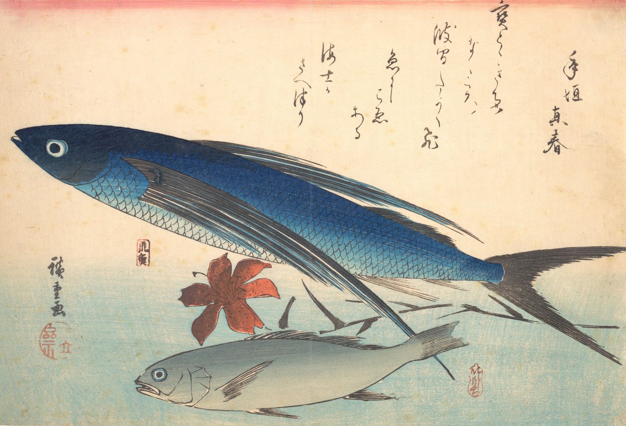 Ryby Tobiuo a Ishimochi, ze série Uozukushi Every Variety of Fish, 40. léta 19. století, 40. léta 19. století. od Ando Hiroshige