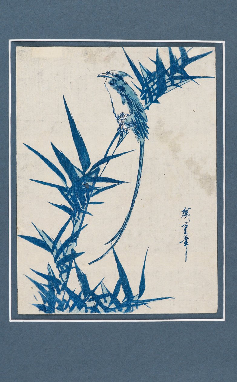 Tisk Ukiyo-e - Pták na větvi v modré barvě, c1820-1858 od Ando Hiroshige