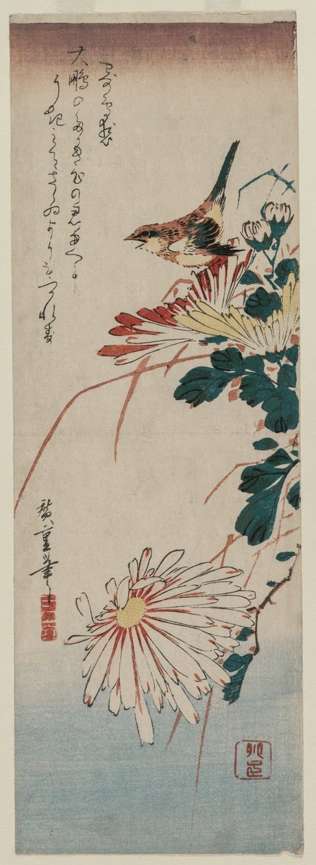 Pěnice a chryzantémy, polovina 30. let 19. století. od Ando Hiroshige
