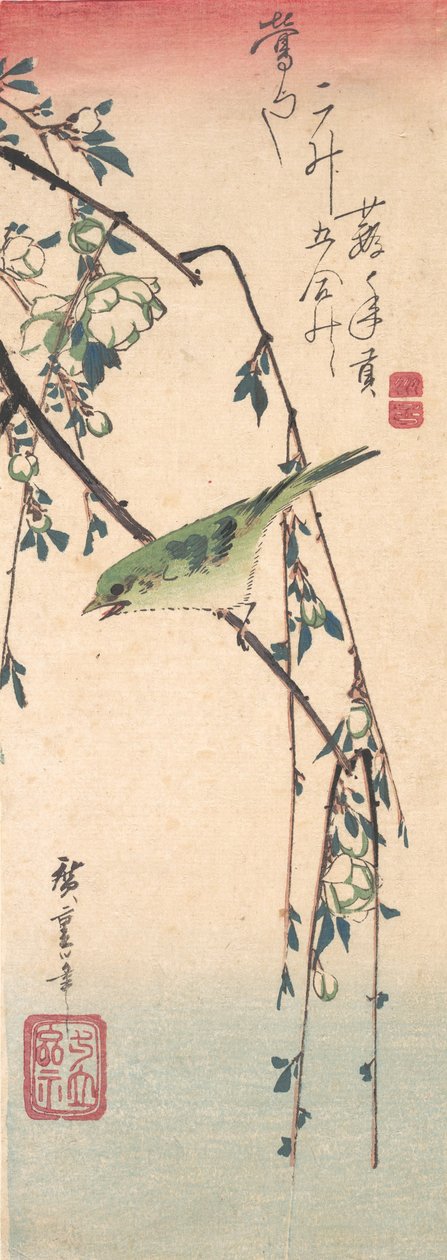 Pěnice na švestkové větvi, ca. 1835, ca. 1835. od Ando Hiroshige
