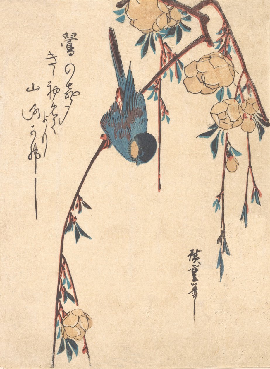 Plačící Cherry. od Ando Hiroshige
