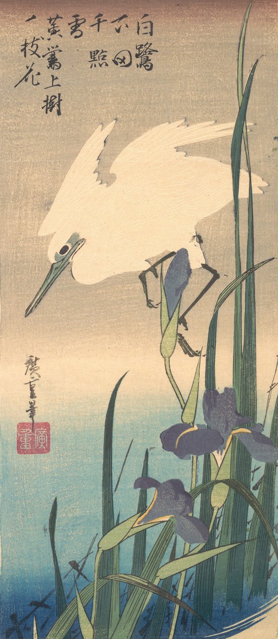 Bílá volavka a Iris. od Ando Hiroshige