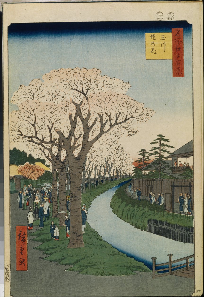 Cent vues celebres d"Edo: Třešňové květy na břehu řeky Tama od Ando or Utagawa Hiroshige