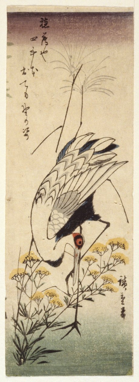 Jeřáb s divokou hořčicí (barevný dřevotisk) od Ando or Utagawa Hiroshige