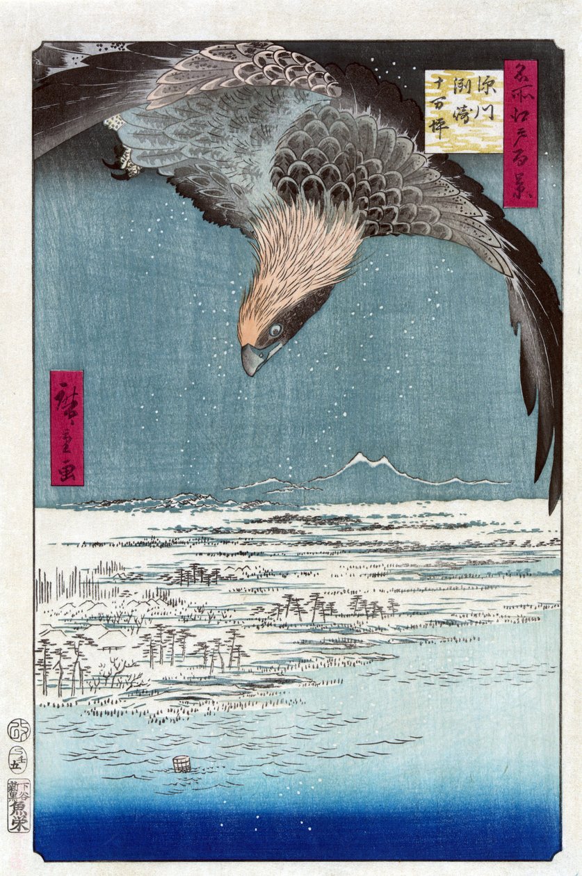 Estampe japonaise: La plaine Juman Tsubo a Susaki, Fukagawa (Tokyo, Japon). Serie cent vues celebres d