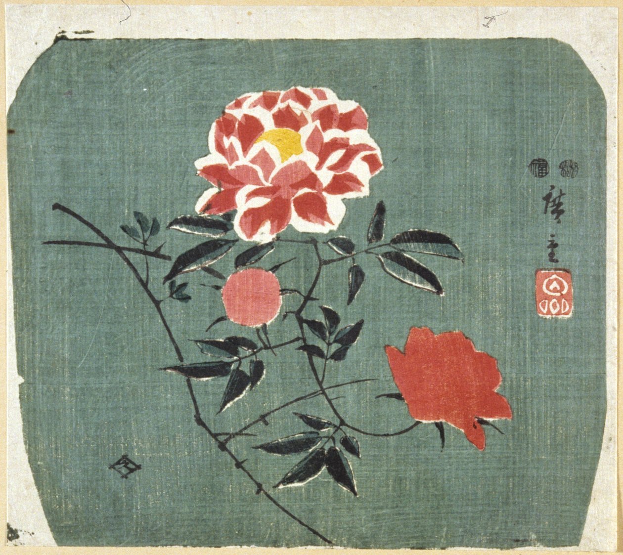 Fan Print: Rose od Ando or Utagawa Hiroshige