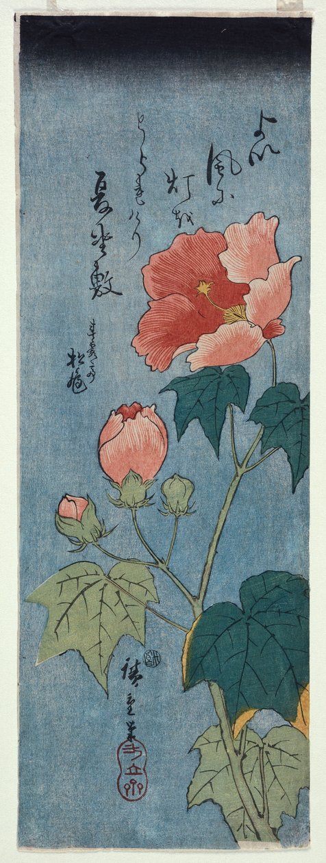 Kvetoucí máky, Tanzaku od Ando or Utagawa Hiroshige