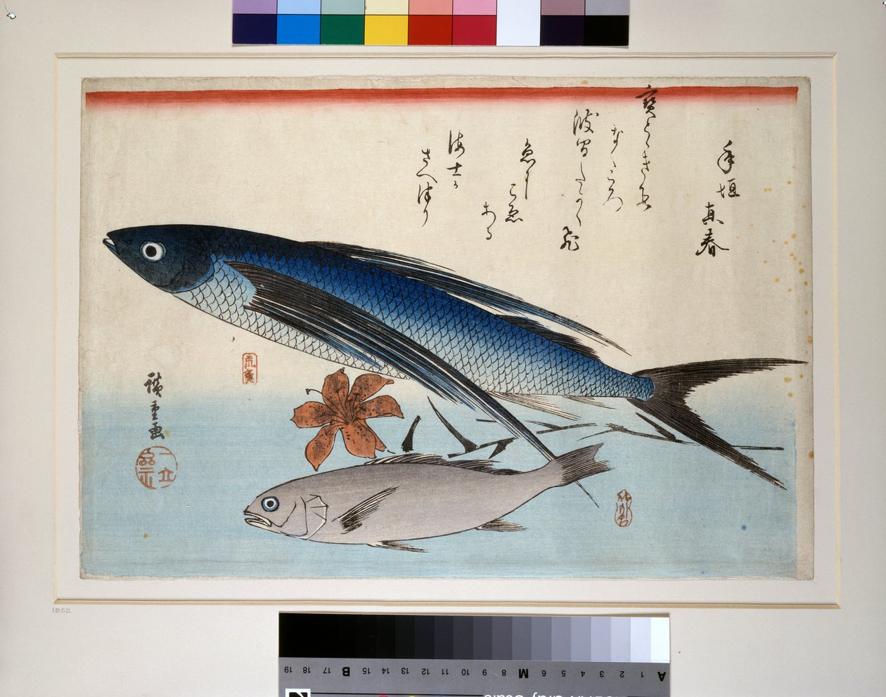 Létající ryby, ryby ishimochi a lilie od Ando or Utagawa Hiroshige