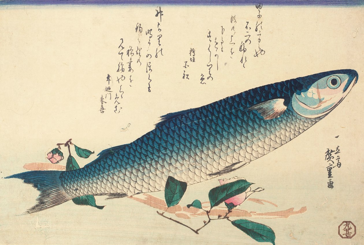 Parmice šedá, Camellia a Udo od Ando or Utagawa Hiroshige