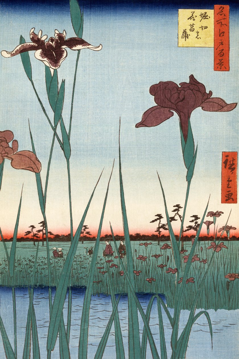 Horikiri Iris Garden by Utagawa Hiroshige od Ando or Utagawa Hiroshige