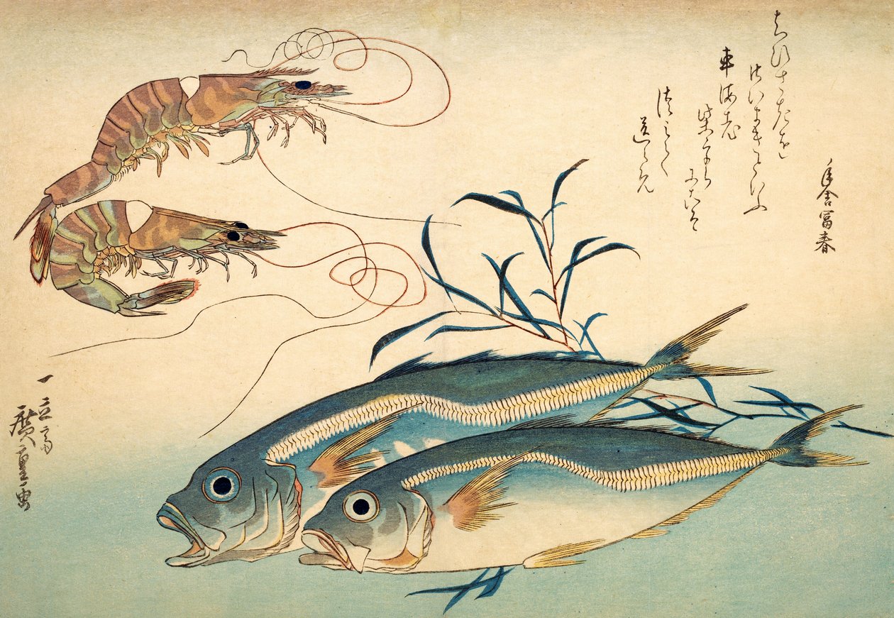 Japonský kranas a japonská tygří kreveta (barevný dřevotisk) od Ando or Utagawa Hiroshige