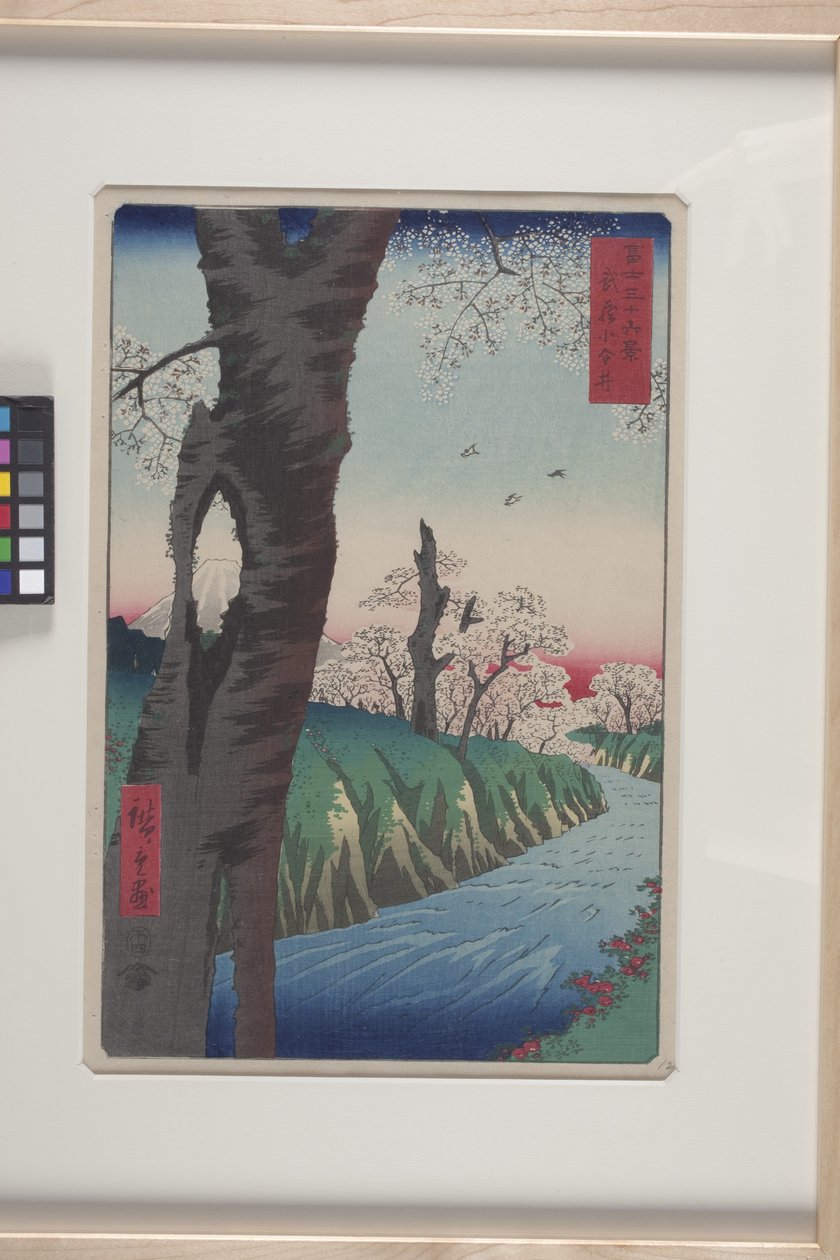 Koganei v provincii Musashi (Musashi Koganei) (barevný dřevotisk) od Ando or Utagawa Hiroshige