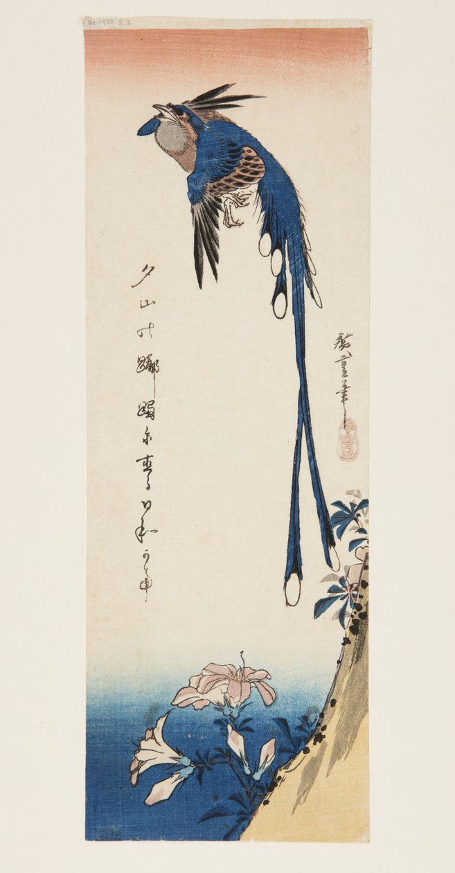 Straka a azalka (barevný dřevotisk) od Ando or Utagawa Hiroshige