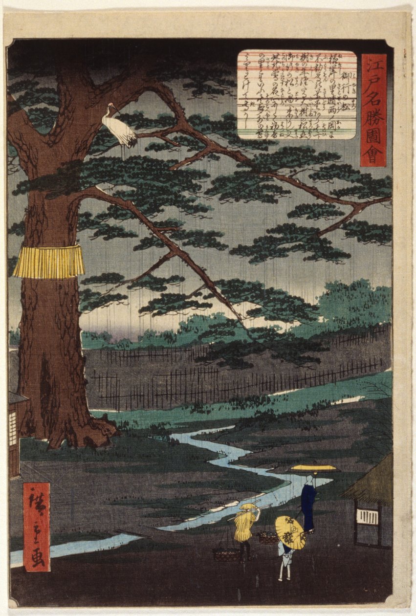 Miyuki Pine (barevný dřevotisk) od Ando or Utagawa Hiroshige