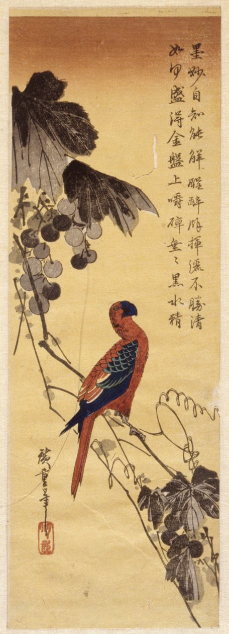 Papoušek a vinná réva (barevný dřevořez) od Ando or Utagawa Hiroshige